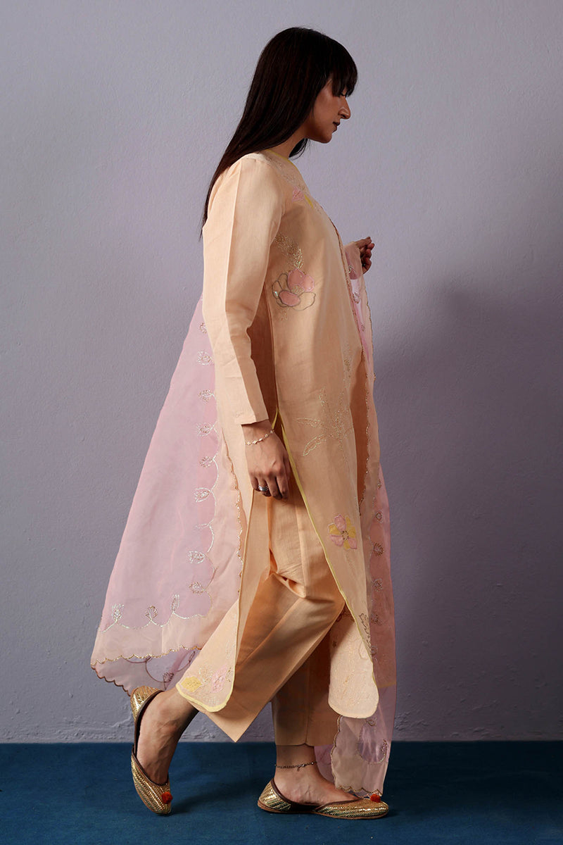 Embroidered Opulent Ensemble