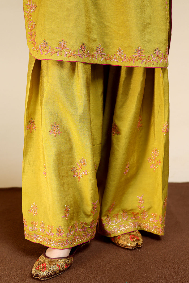 Embroidered Farshi Ensemble