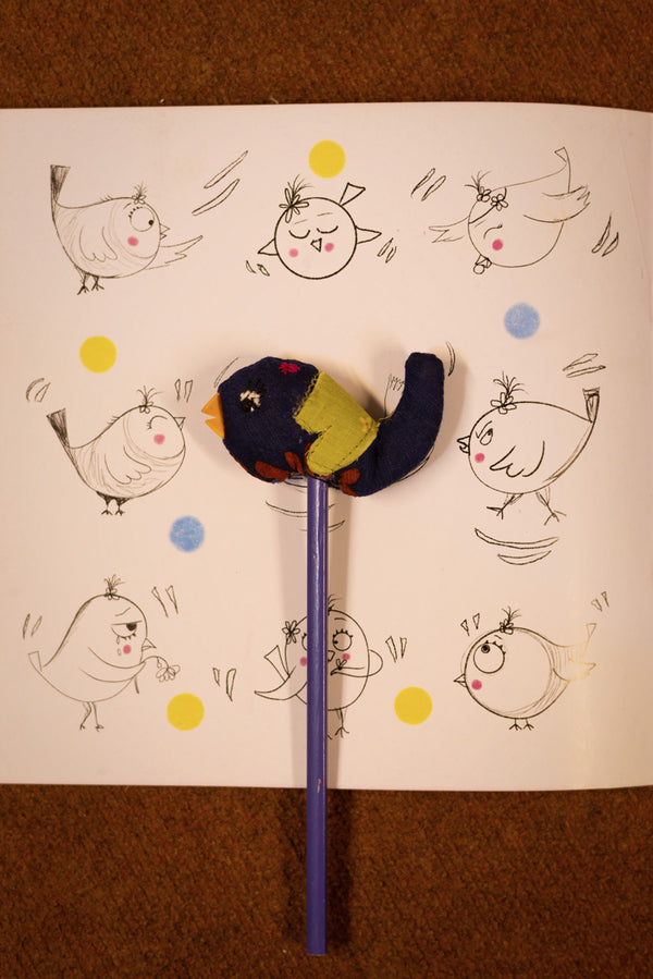 Chuchu aur Aina Summer Reading Kit