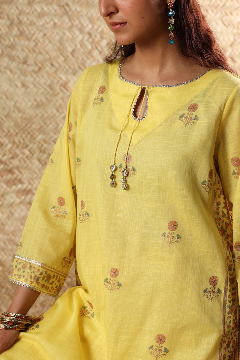 Gota Naqsh Jamni Set