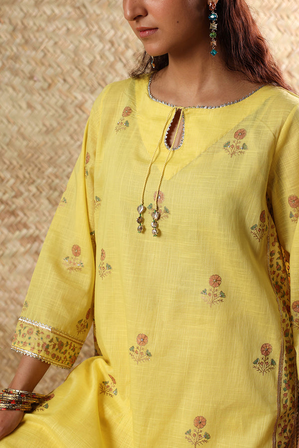 Gota Naqsh Jamni Set