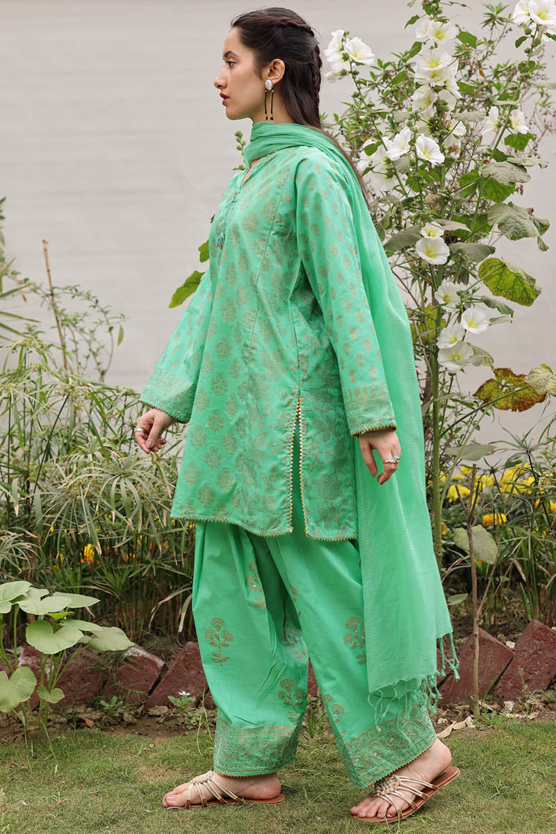 Rang-e-Jamni Farshi Set