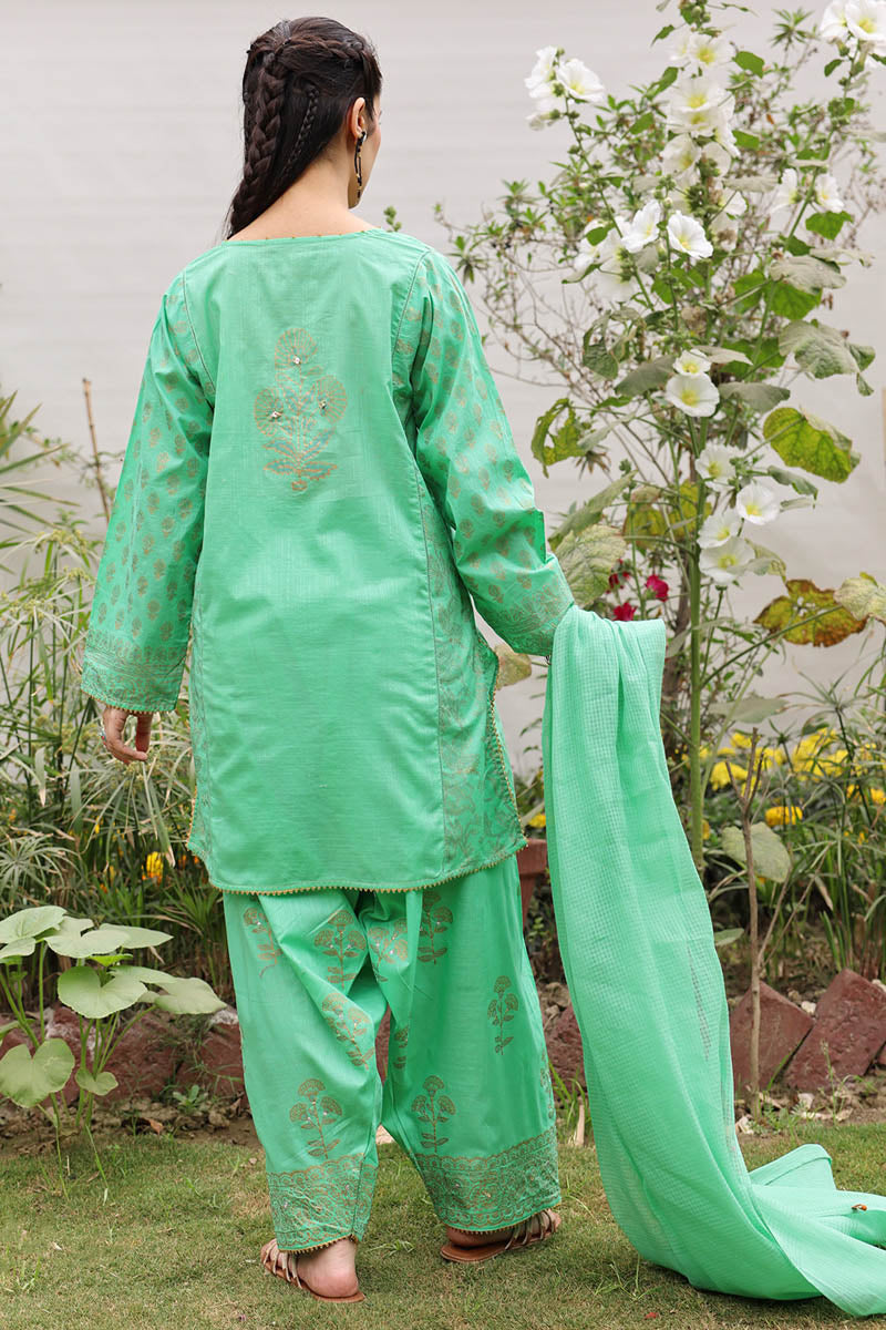 Rang-e-Jamni Farshi Set