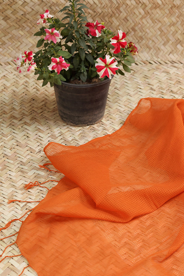 Classic Check Dupatta