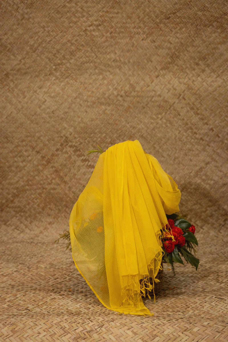 Classic Check Dupatta