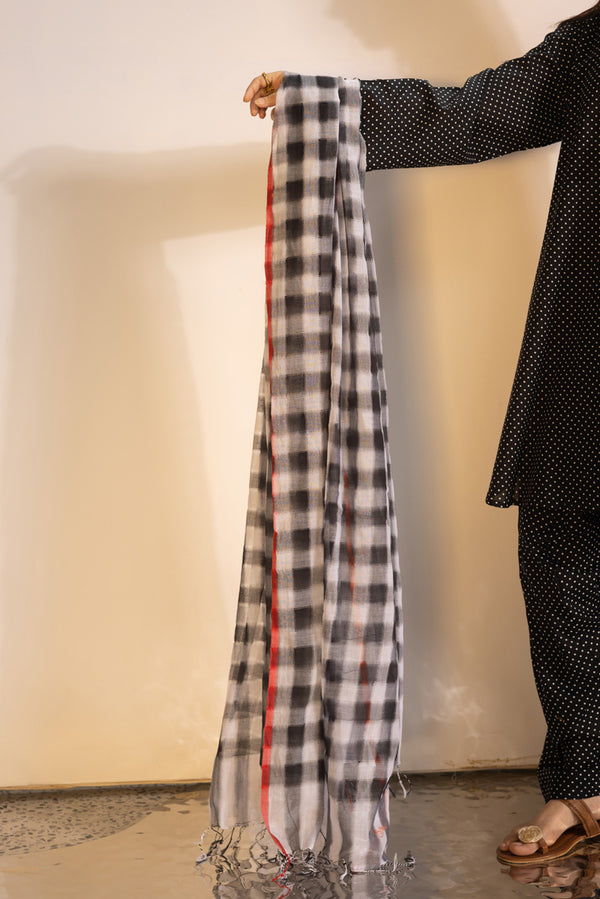 Blush Grid Dupatta