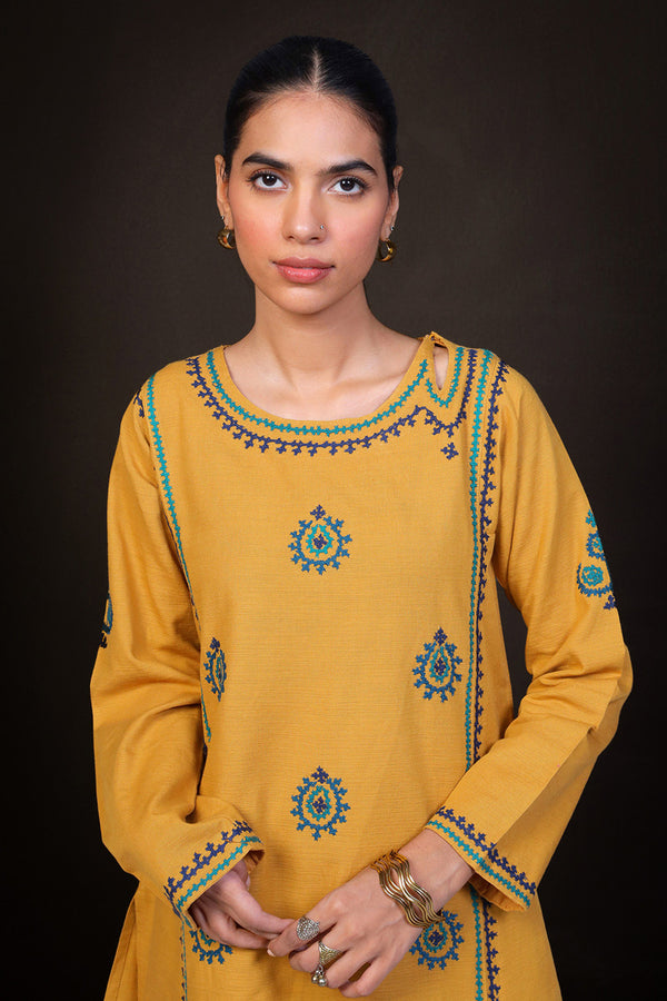 Timeless Charm Kurta