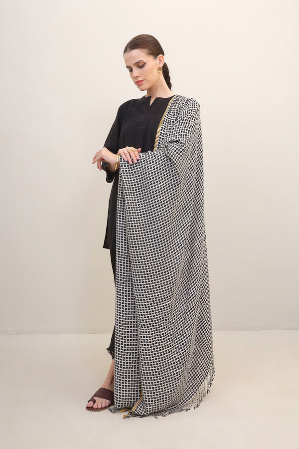 Woven Printed Shawls