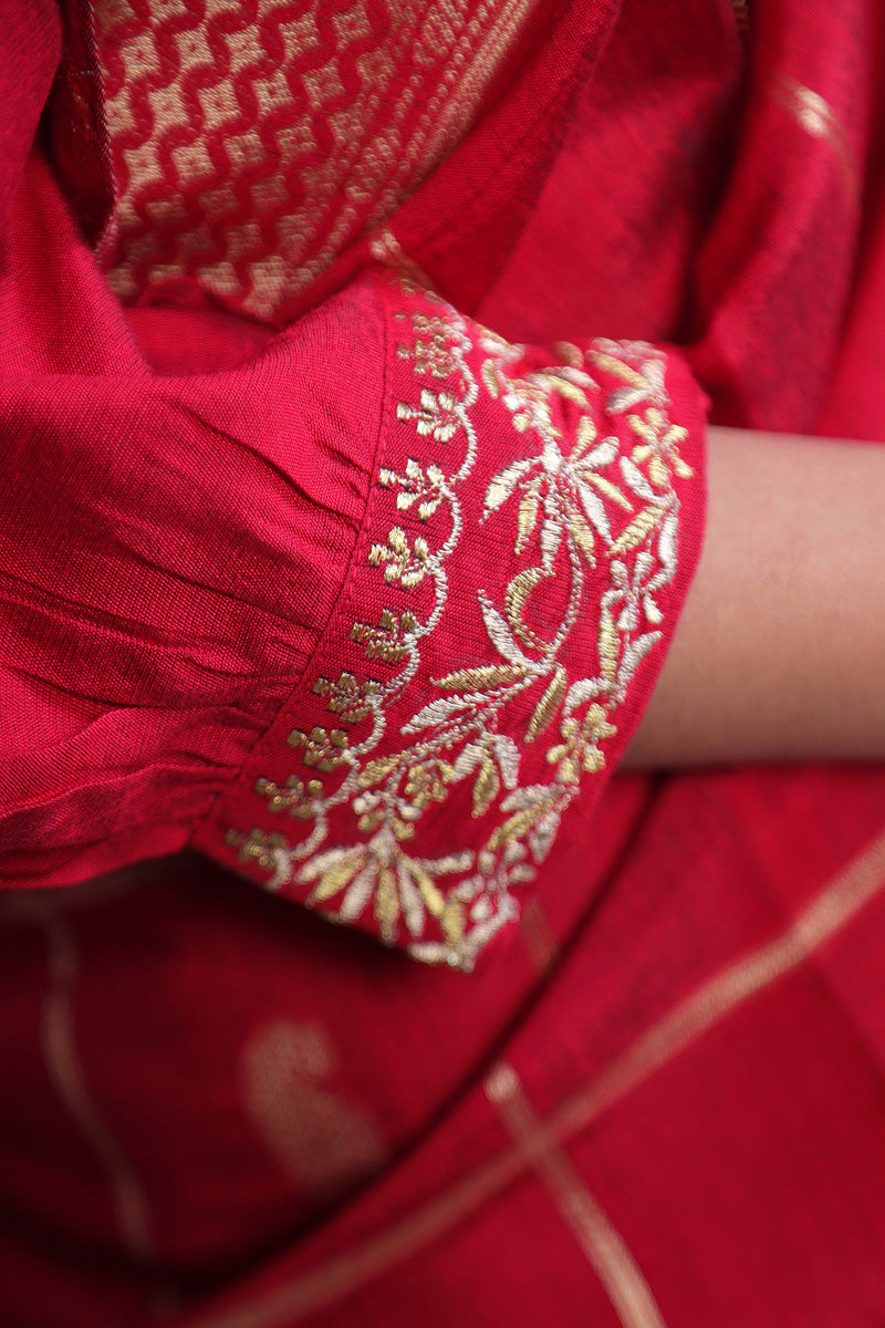 Brocade Embroidered Sari