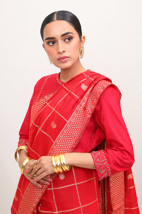 Brocade Ruby Sari