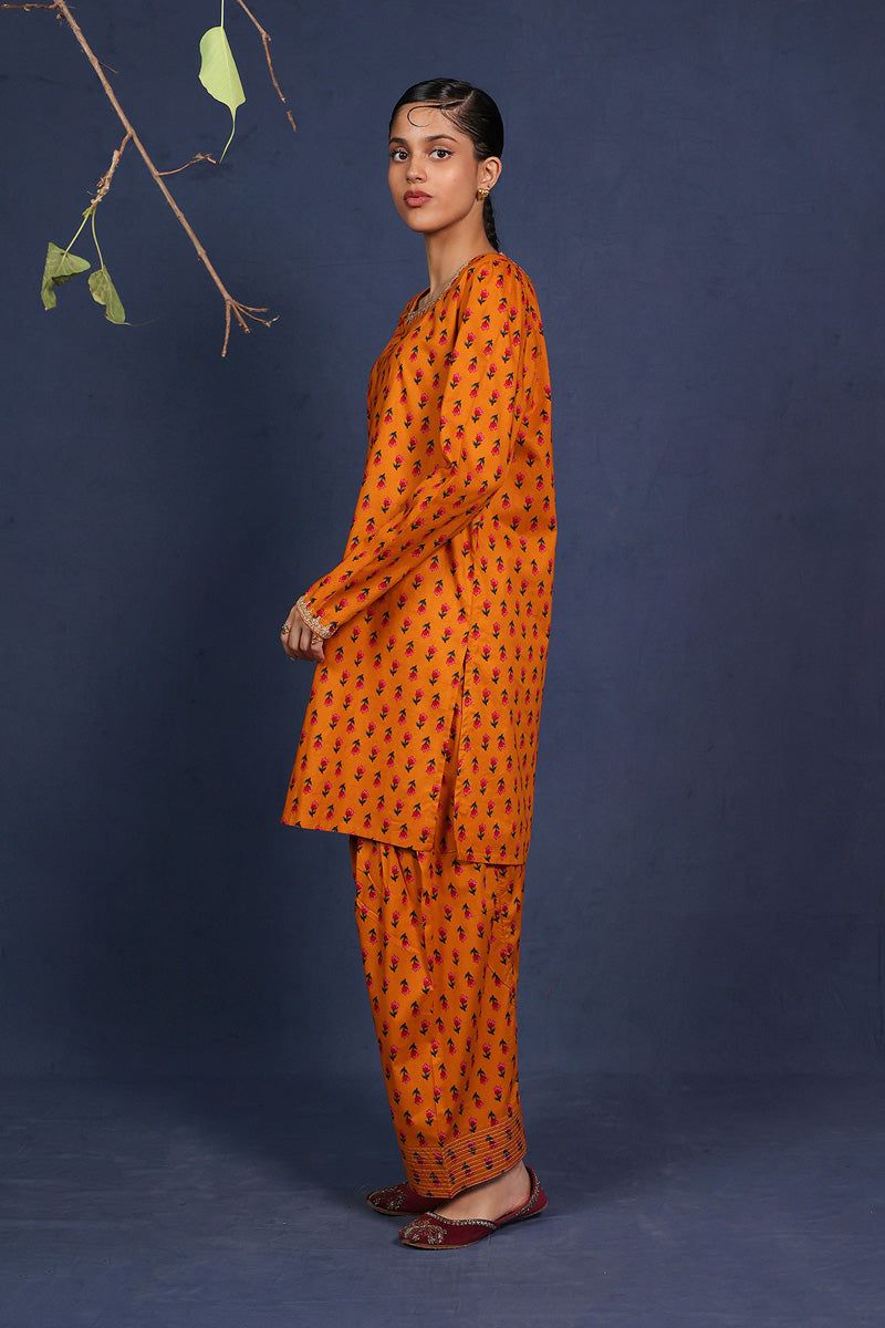 Gul-e-Noor 2 Piece