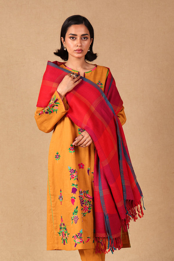 Vibrant Yarn Dyed Shawl