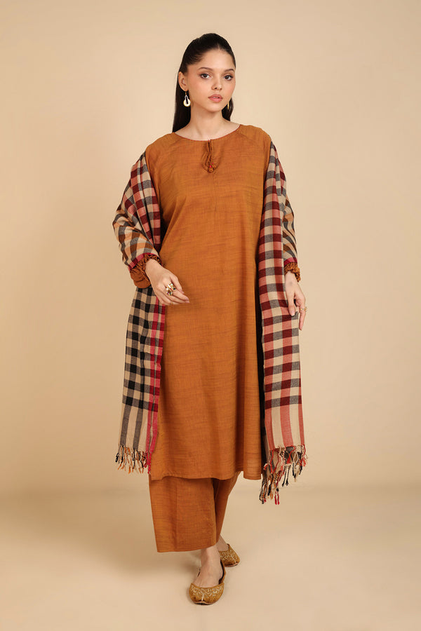 Vibrant Yarn Dyed Shawl