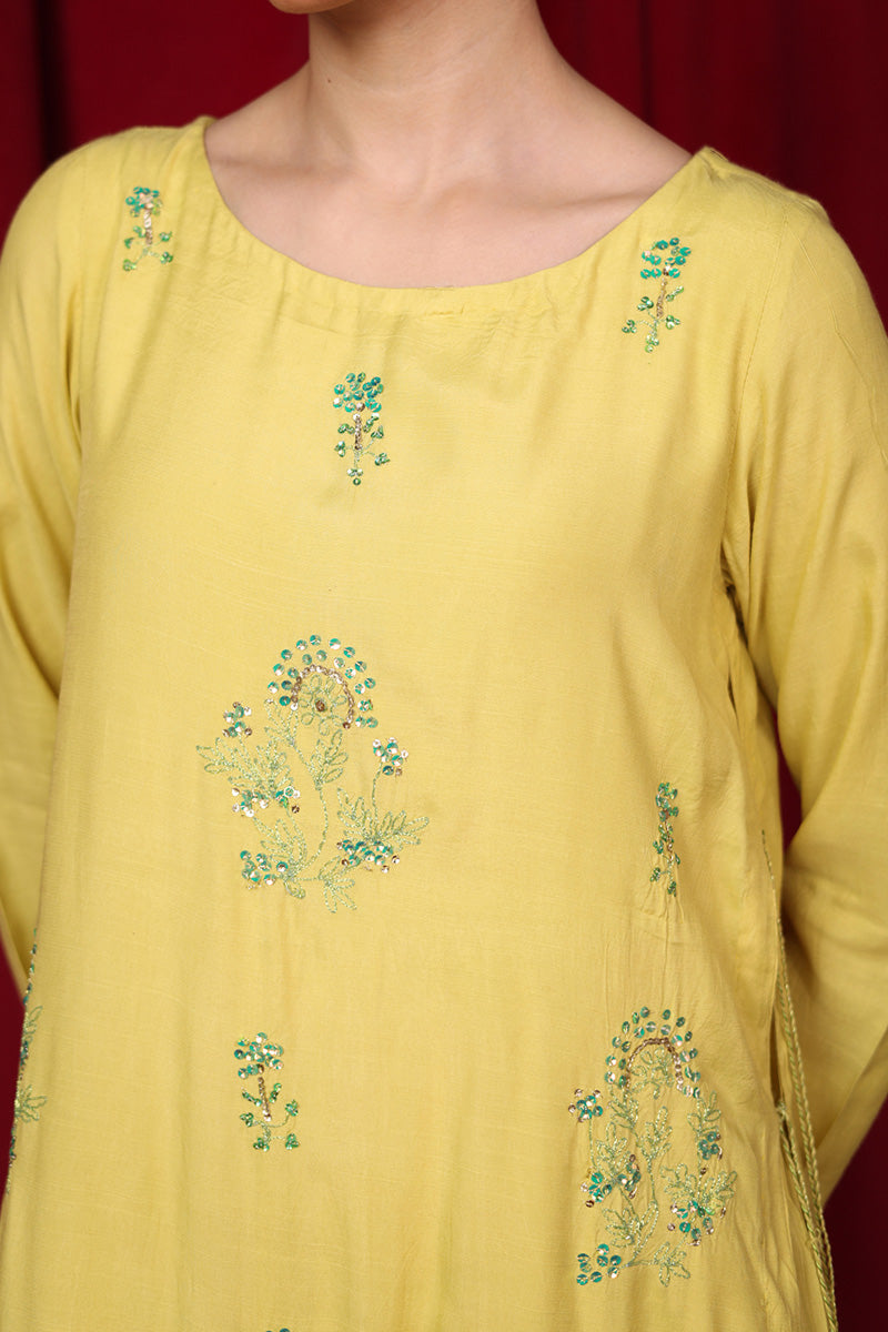 Beetlewing Crafted Kurta