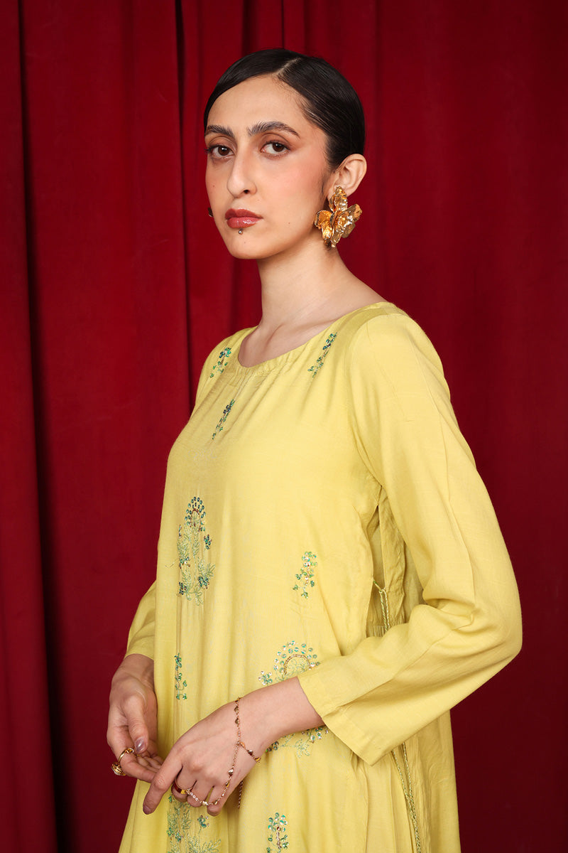 Beetlewing Crafted Kurta