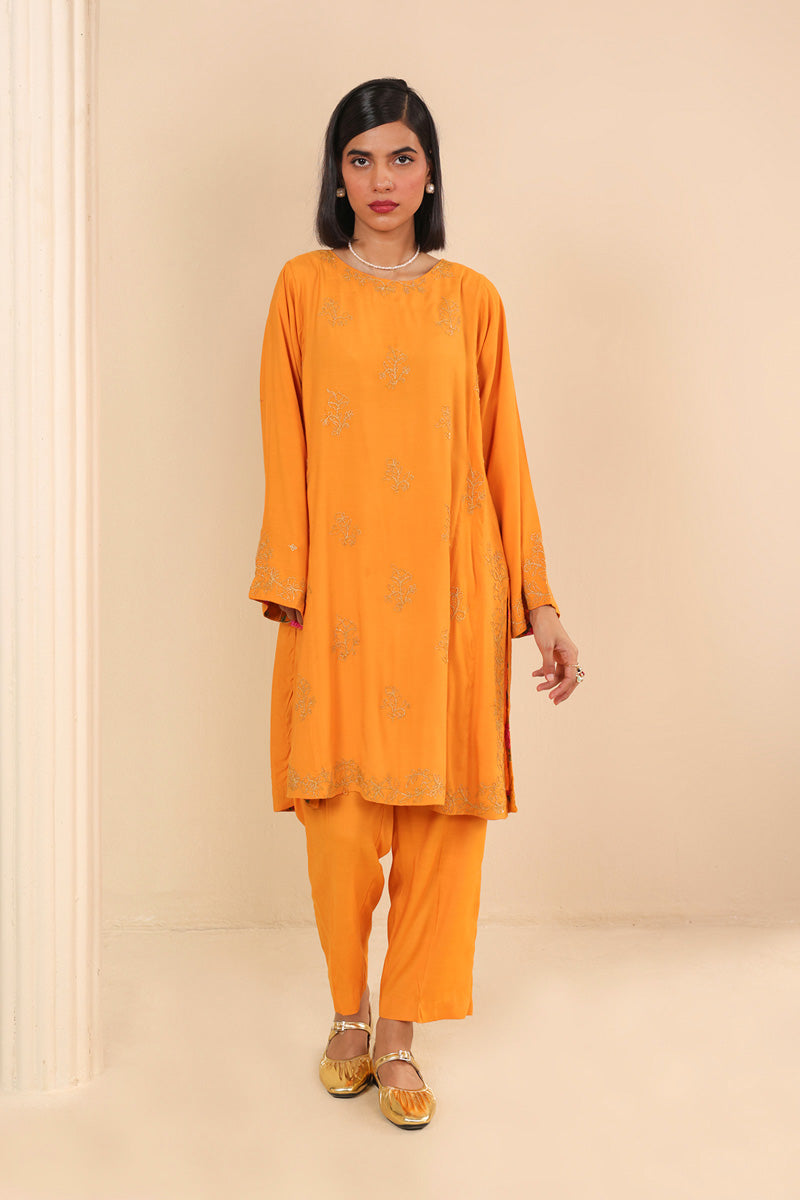 Firni Sarsoon Embroidered Set