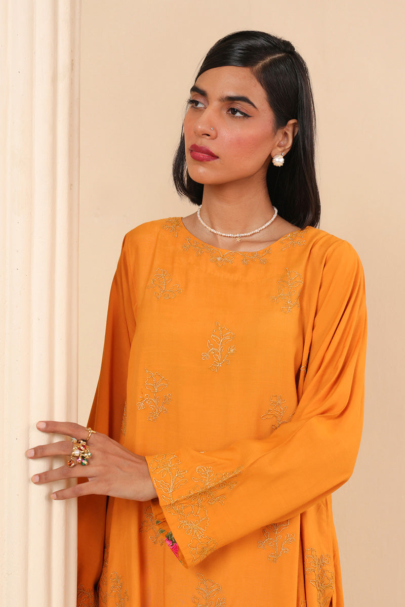 Firni Sarsoon Embroidered Set