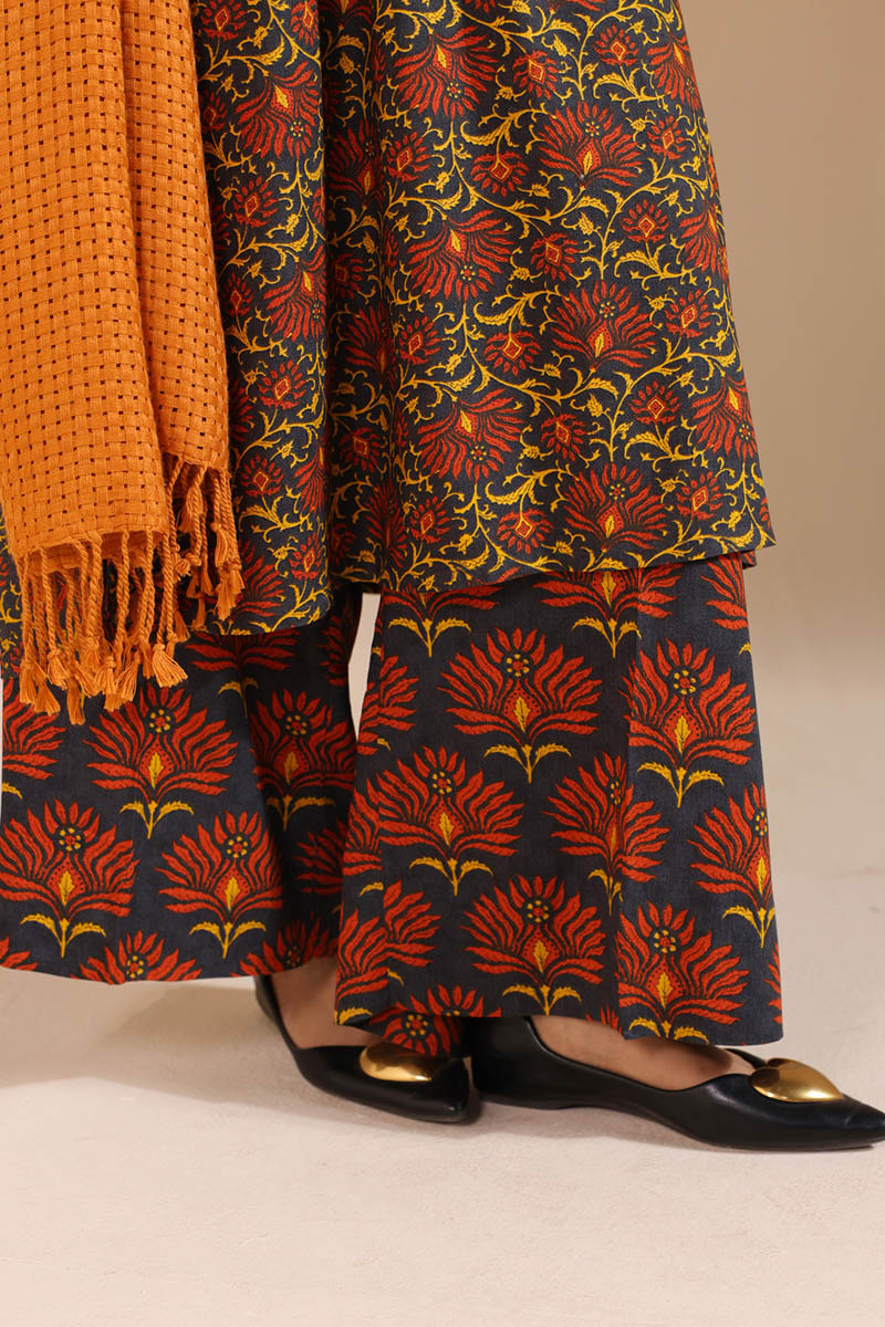 Rani Bagh Printed Set