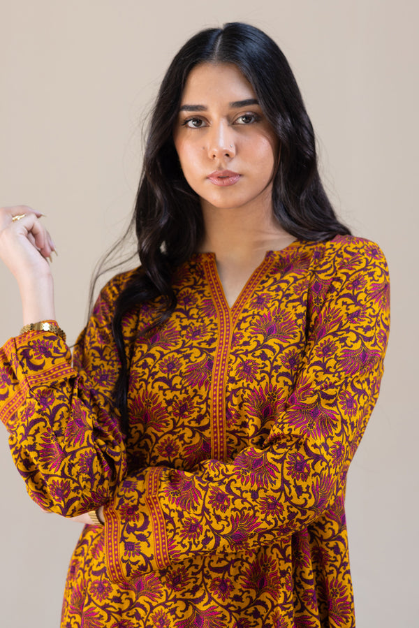 Rani Bagh Rangeen Set