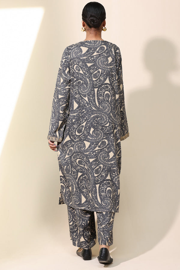 Aari Paisley Printed Set