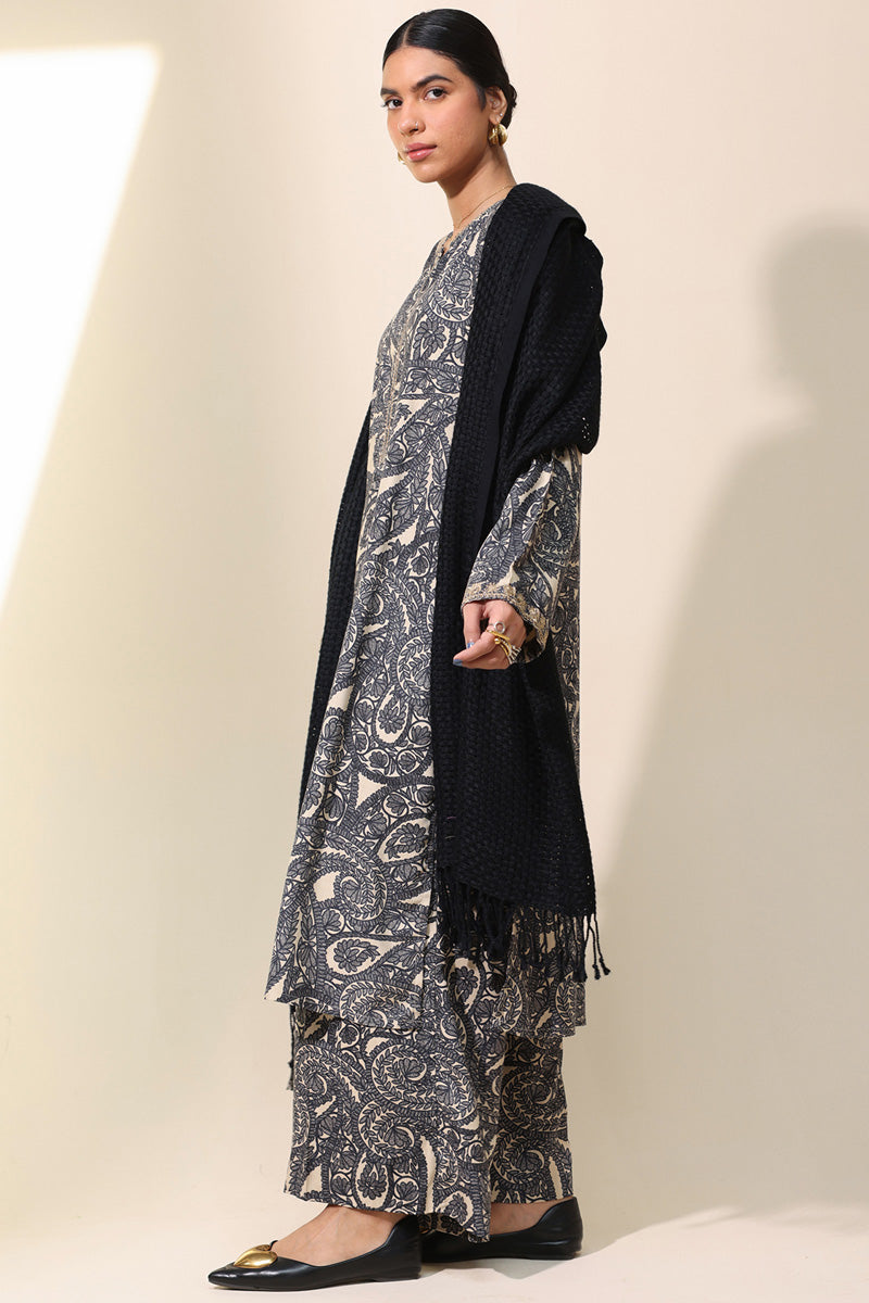 Aari Paisley Printed Set