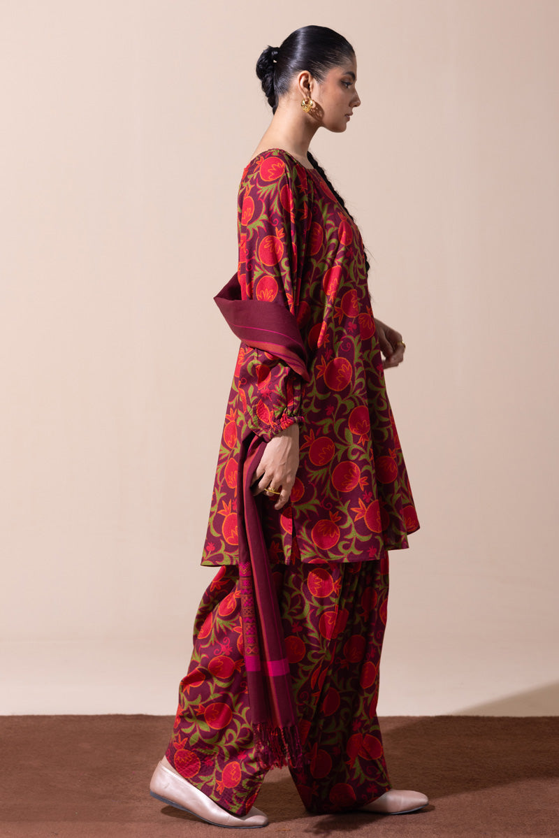 Anar Rang Suzani Set