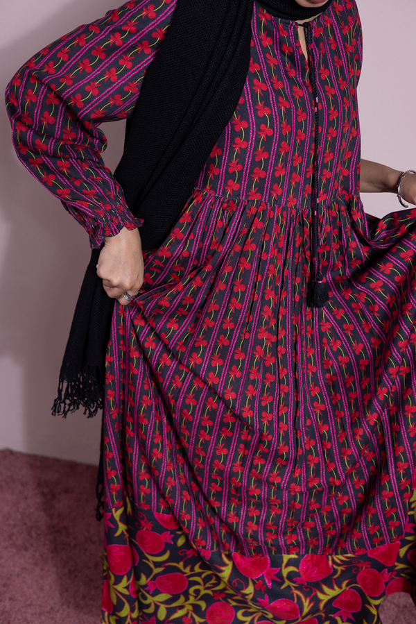 Anar Bagh Dress