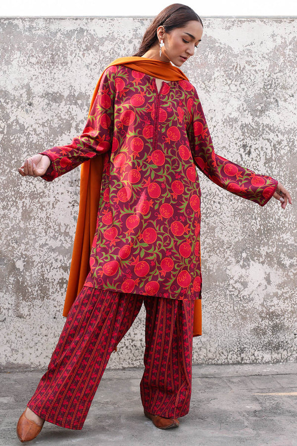 Printed Suzani Farshi Set