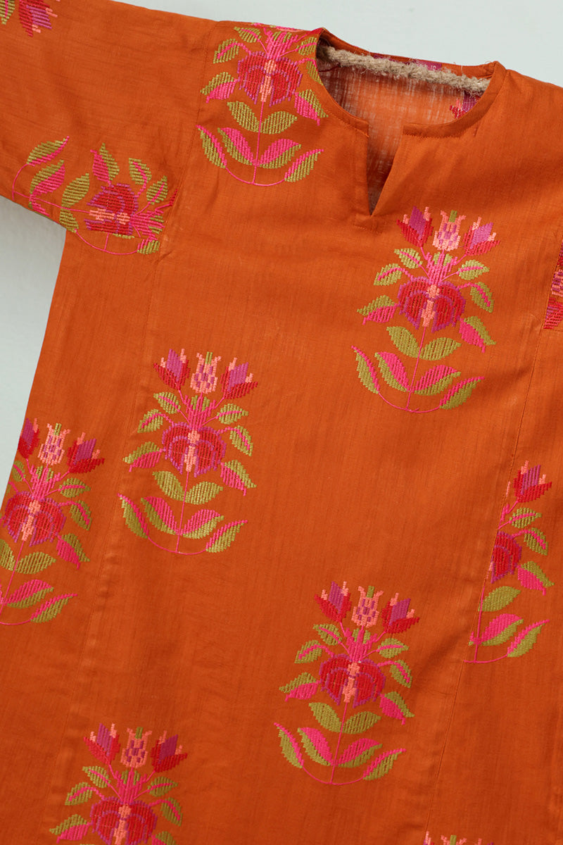 Embroidered Pixel Play Kurta