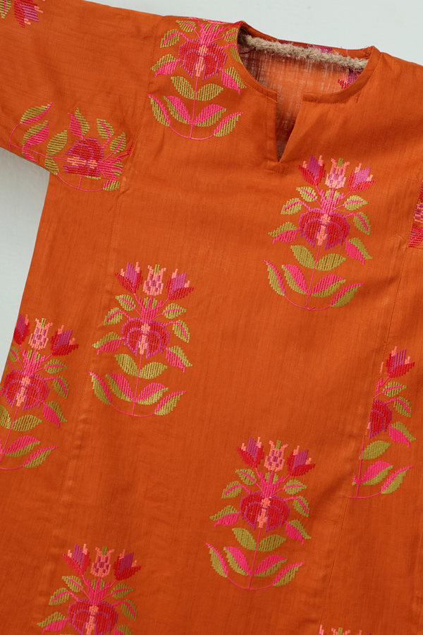 Embroidered Pixel Play Kurta