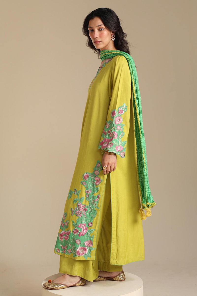 Gulkaar Embroidered Set