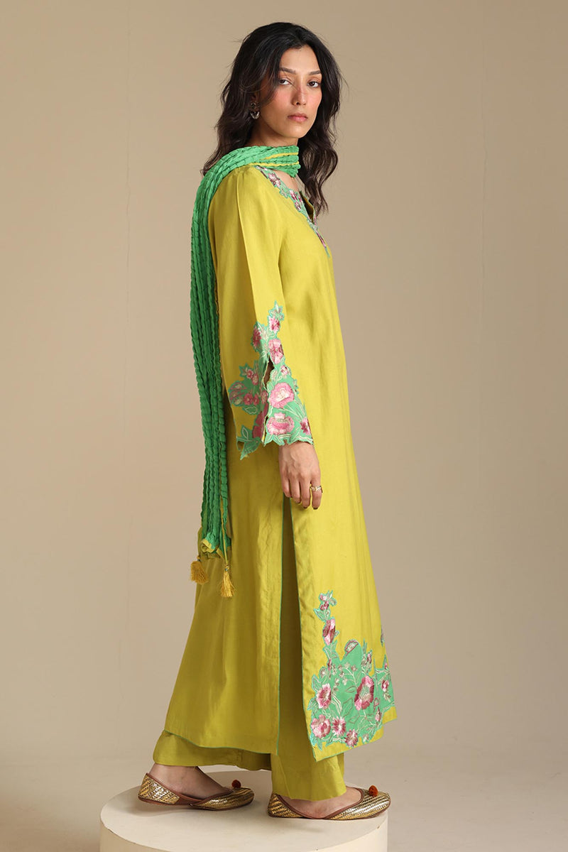 Gulkaar Embroidered Set