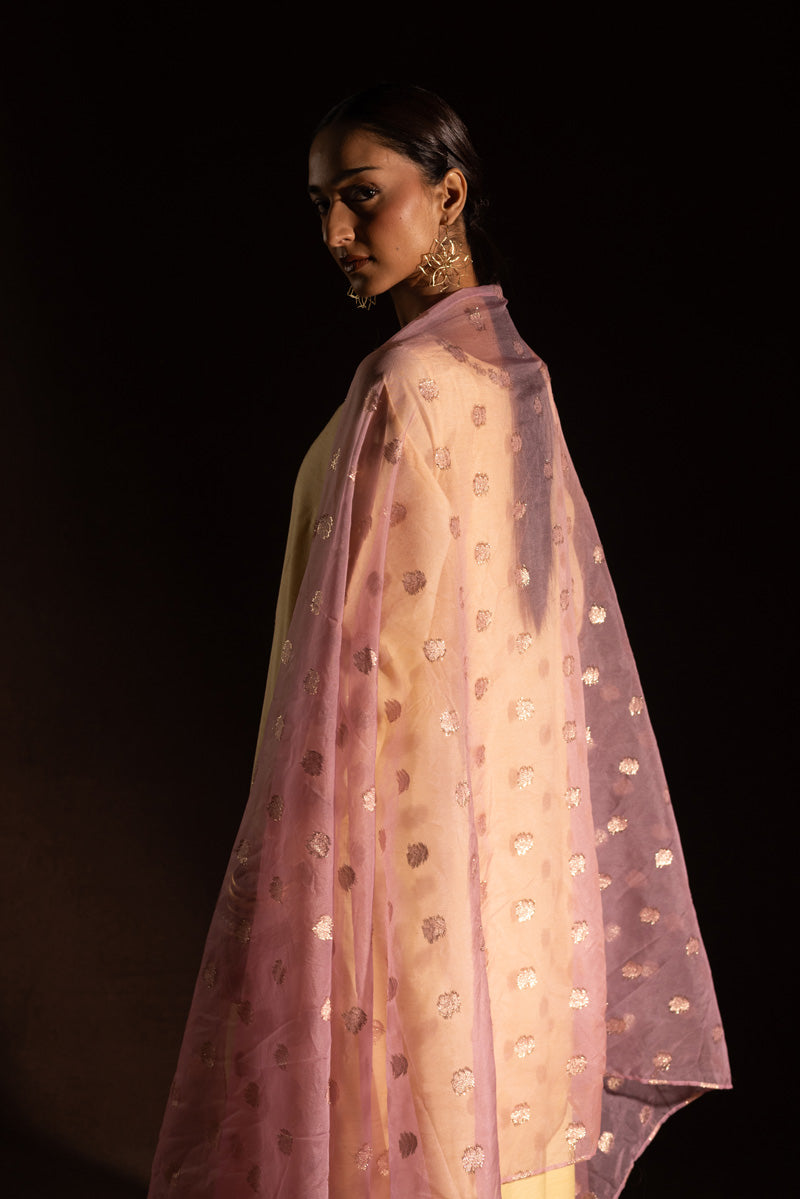 Embroidered Polki Flared Set