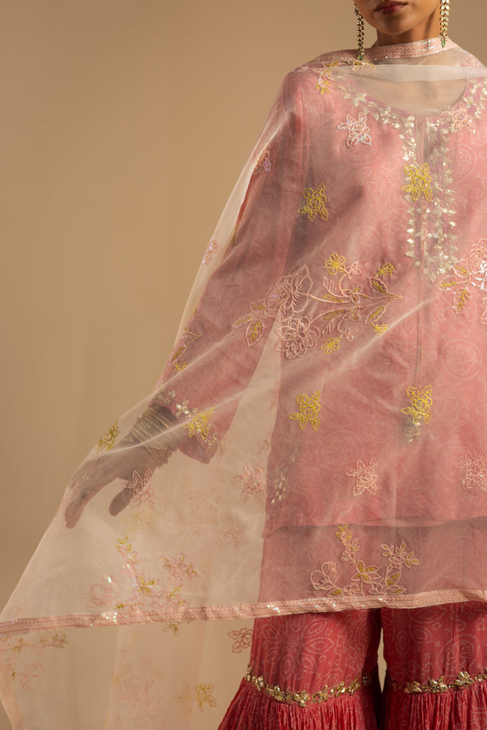Generation Embroidered Blossom Dupatta, view 1