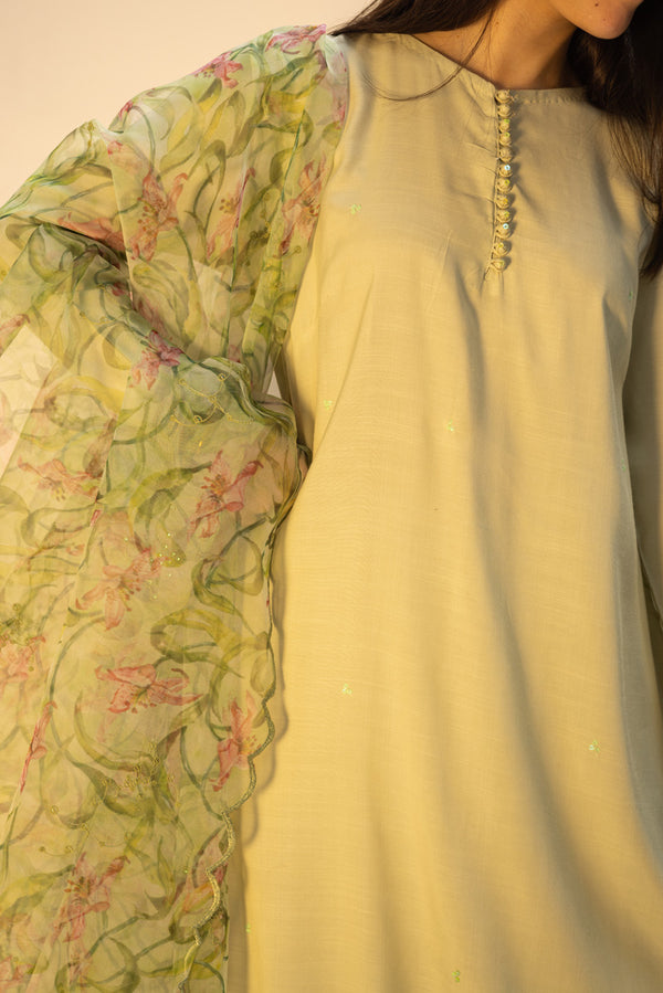 Phool Rang & Dastan 3-Piece Ensemble