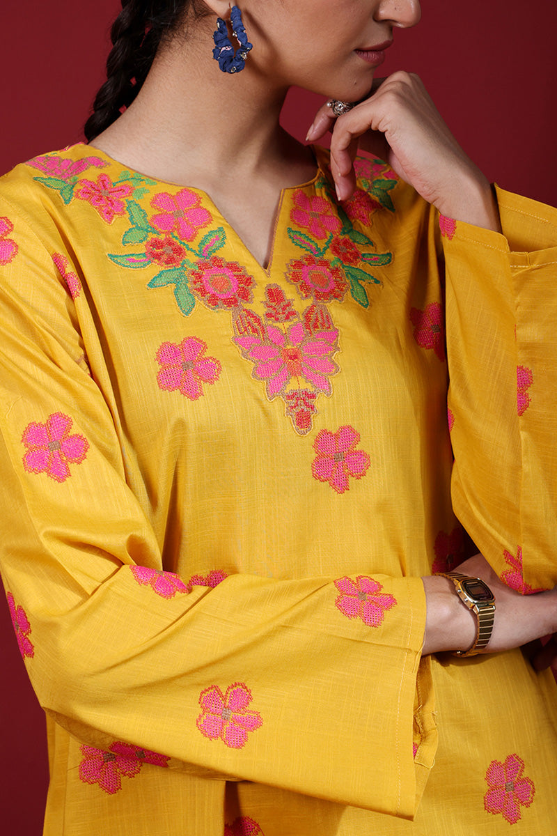 Pyari Paras Embroidered Set