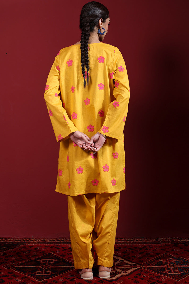 Pyari Paras Embroidered Set