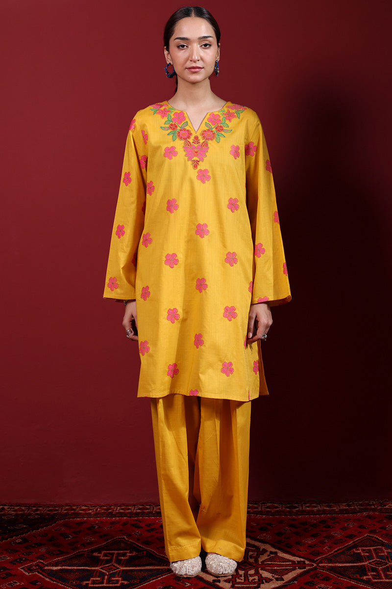 Pyari Paras Embroidered Set