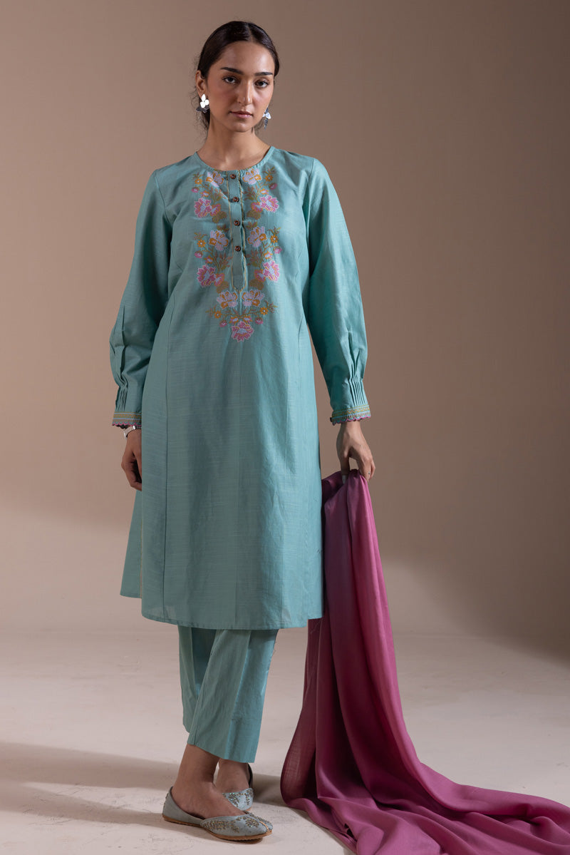 Pyari Paras Embroidered Set