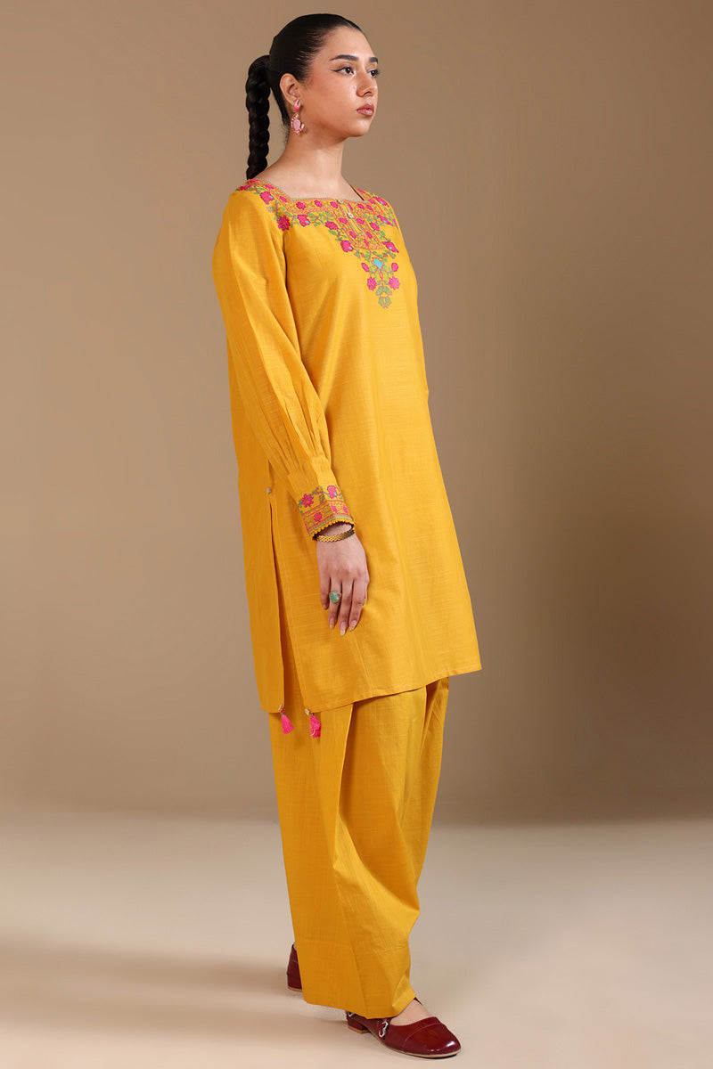 Pyari Paras Cross-Stitch Set