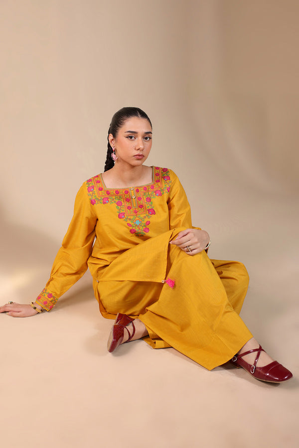 Pyari Paras Cross-Stitch Set