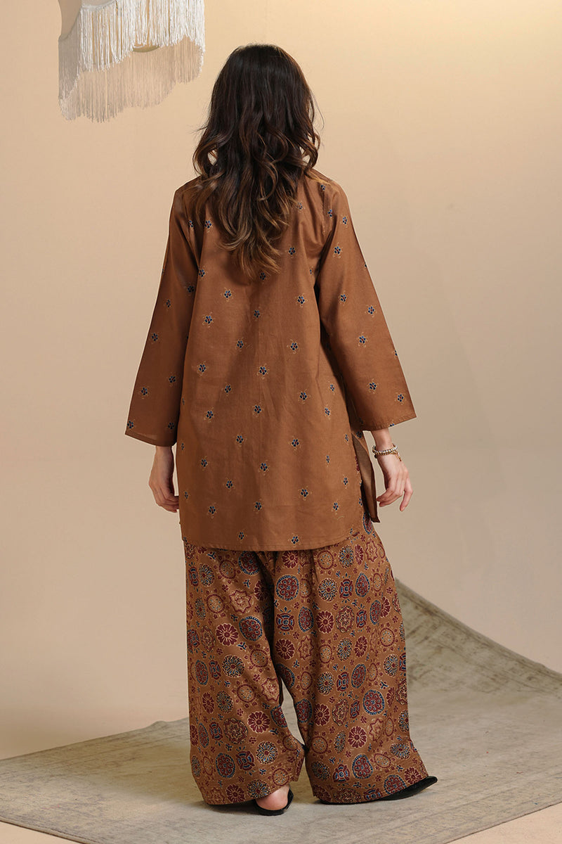 Printed Farshi Duo-Set