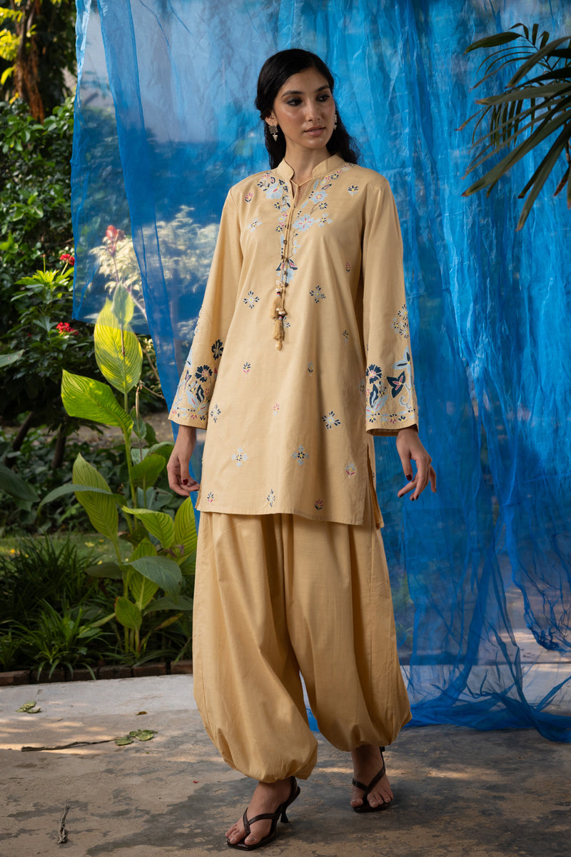 Embroidered Balloon Shalwar Set