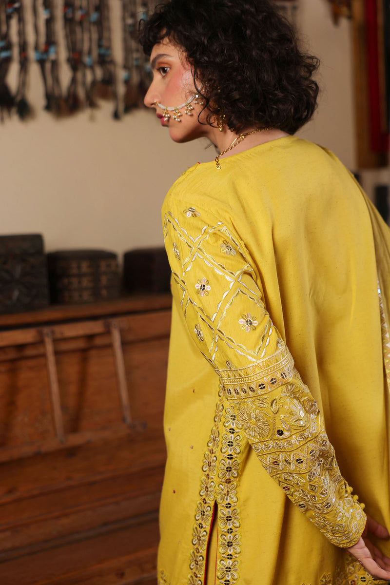 Embroidered Sequin Ensemble