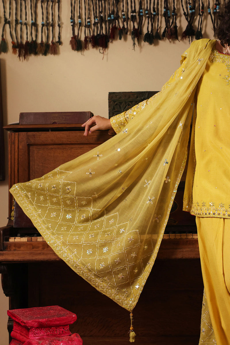 Embroidered Sequin Ensemble