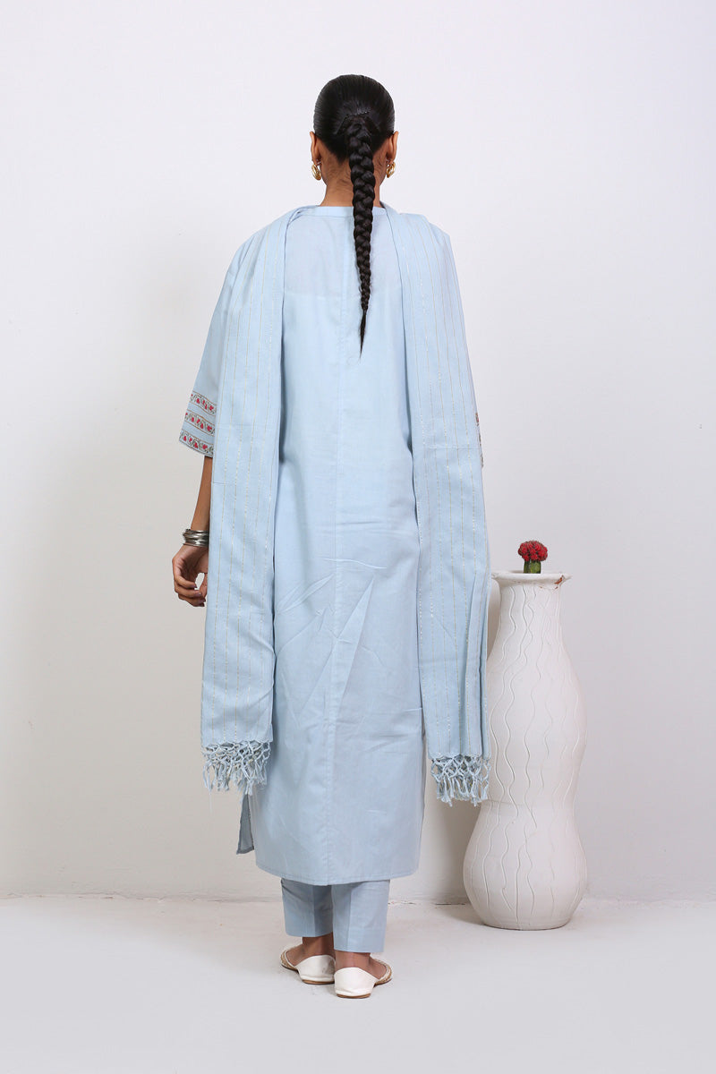 Sitara Dhari Printed Suit