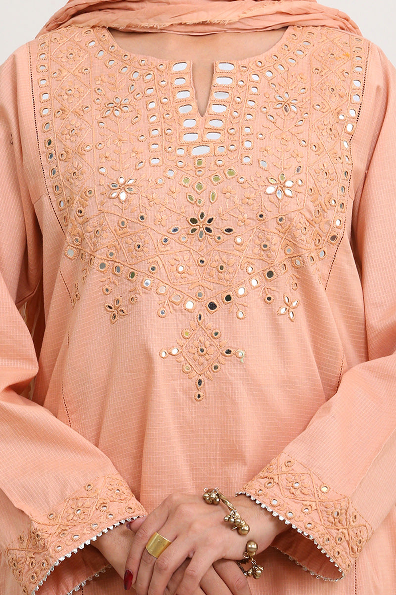 Jhil Mil Hand Embroidered Suit