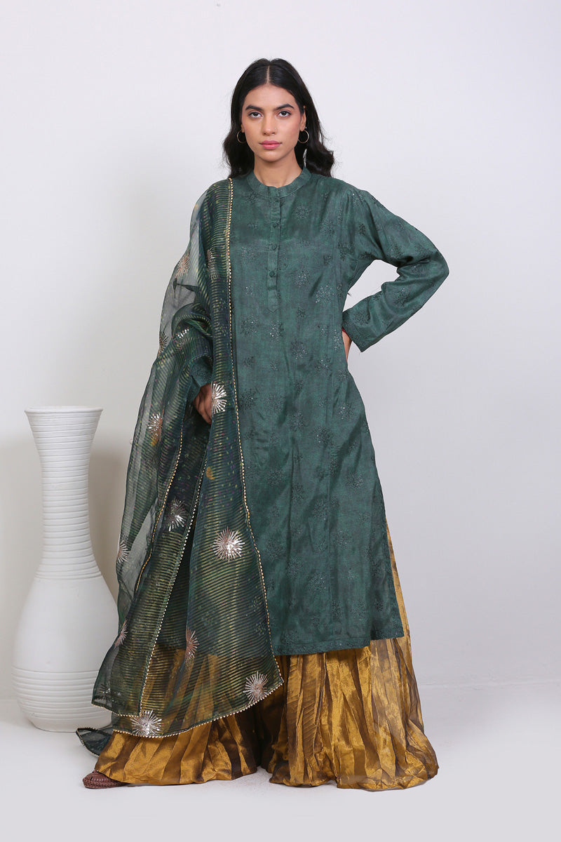 Whirling Dervaish Self Embroidered Kurta