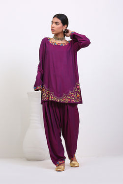 Vision Of Punjab Embroidered 2-Piece